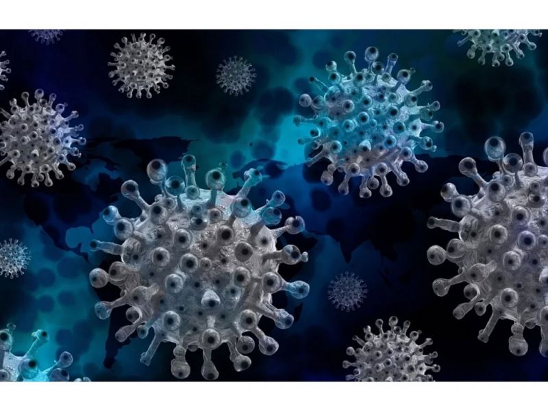 Учёные рассказали, насколько опасны 12 тысяч мутаций коронавируса