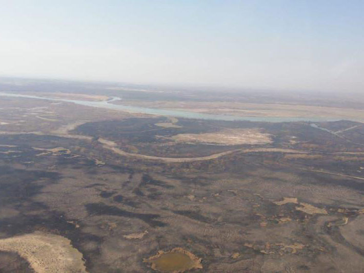Основные очаги пожара в лесном массиве Алматинской области потушены