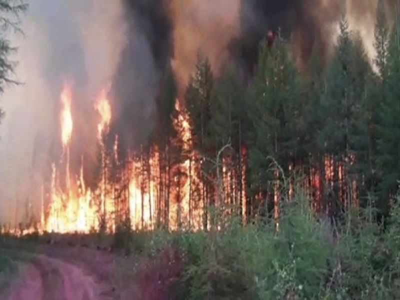 Пожарная безопасность в лесных массивах