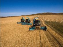 «Фермеры Чилика» — успешная модель агробизнеса