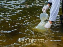 Неизвестное вещество сбросили в реку близ Талдыкоргана