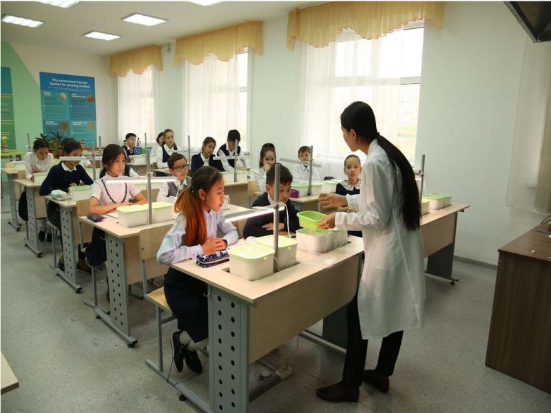 Порядок прохождения практики будущими педагогами пересмотрят в Казахстане
