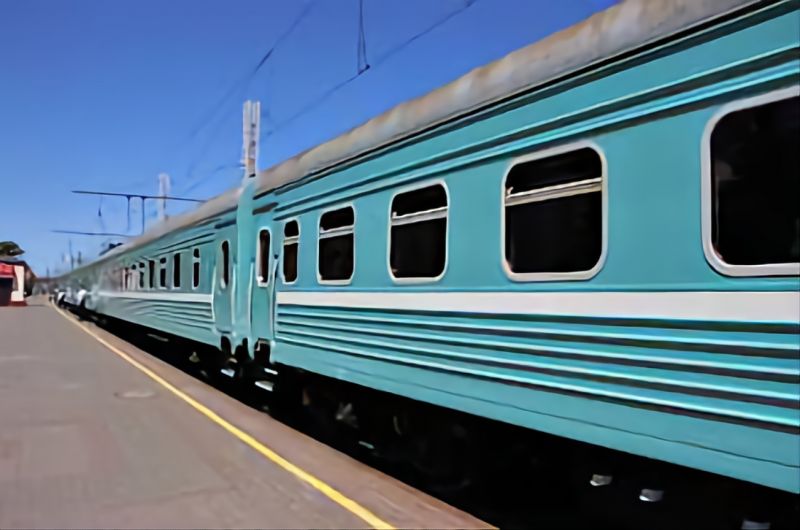 Необычный пассажир появился в поезде сообщением Атырау — Алматы