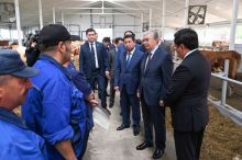 Президент посетил ферму «Қызылжар-сүт»