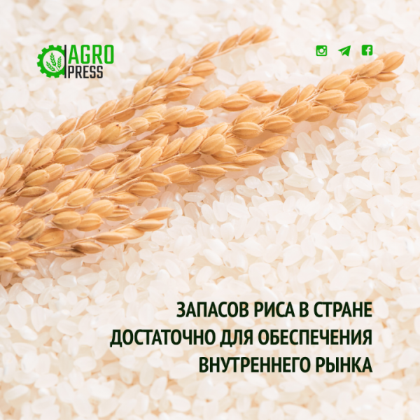 Запасов риса в стране достаточно для обеспечения внутреннего рынка