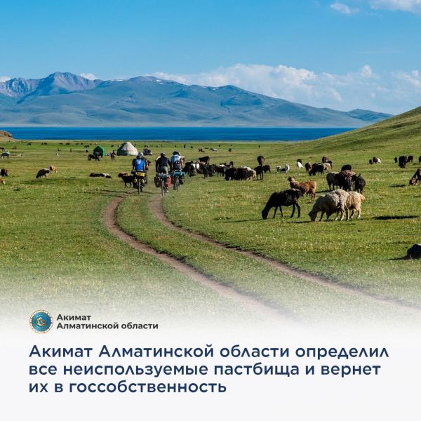 Акимат Алматинской области определил все неиспользуемые пастбища и вернет их в госсобственность