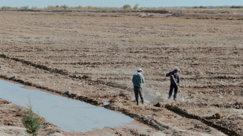 Сильная засуха ожидается в трех областях Казахстана