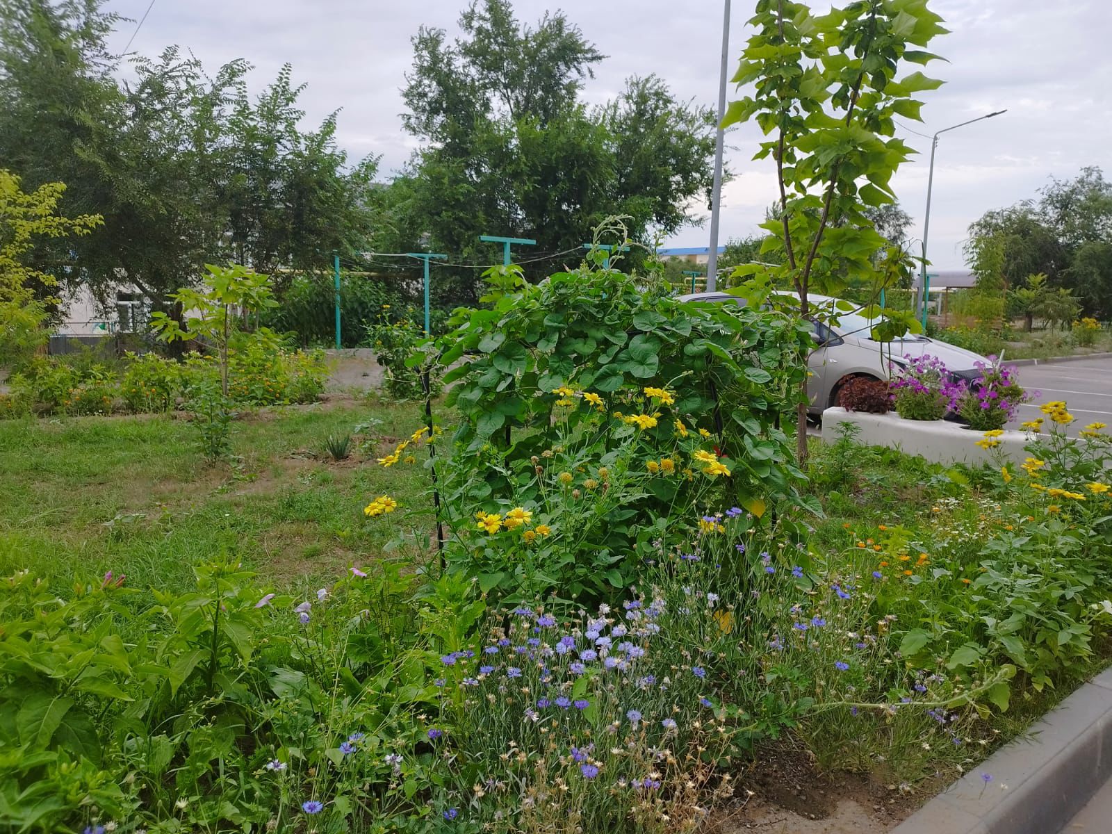 В городе Қонаев стартовал второй этап конкурса «Таза аула»