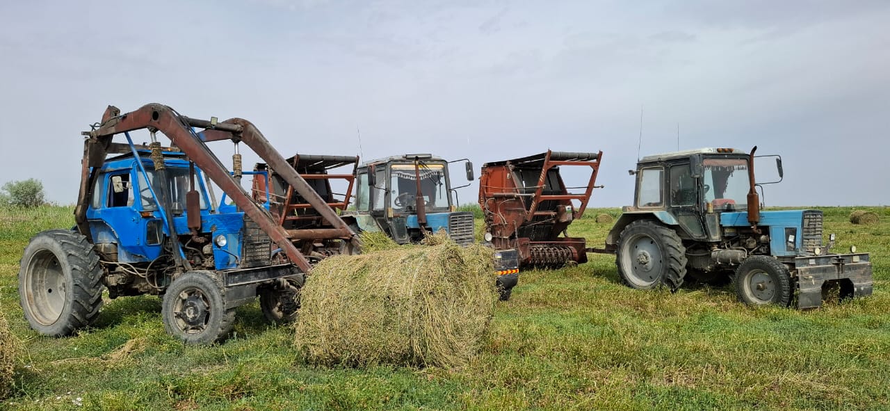 Дорог каждый погожий день