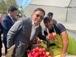 Земля любит настойчивых