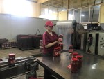 Любимые всеми томаты