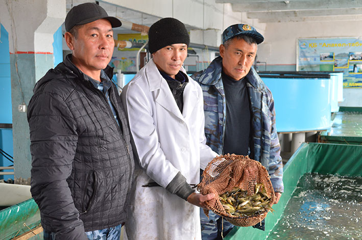 Проблемы и перспективы рыбаков Алаколя