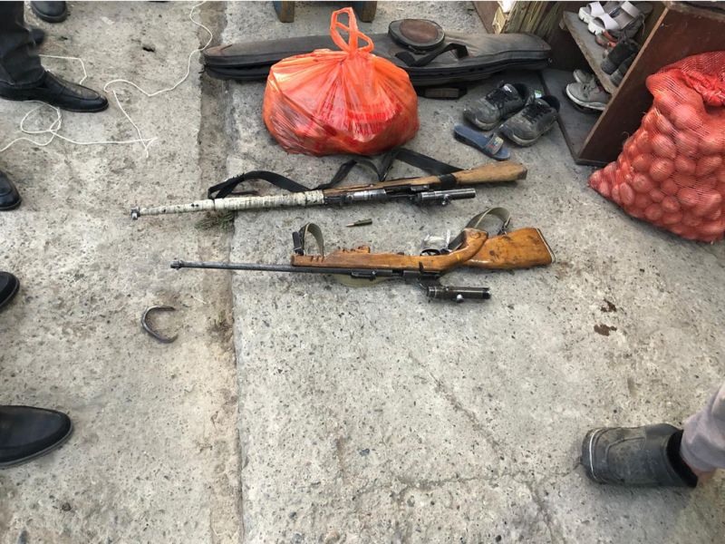 В Алматинской области задержан егерь, застреливший краснокнижного джейрана