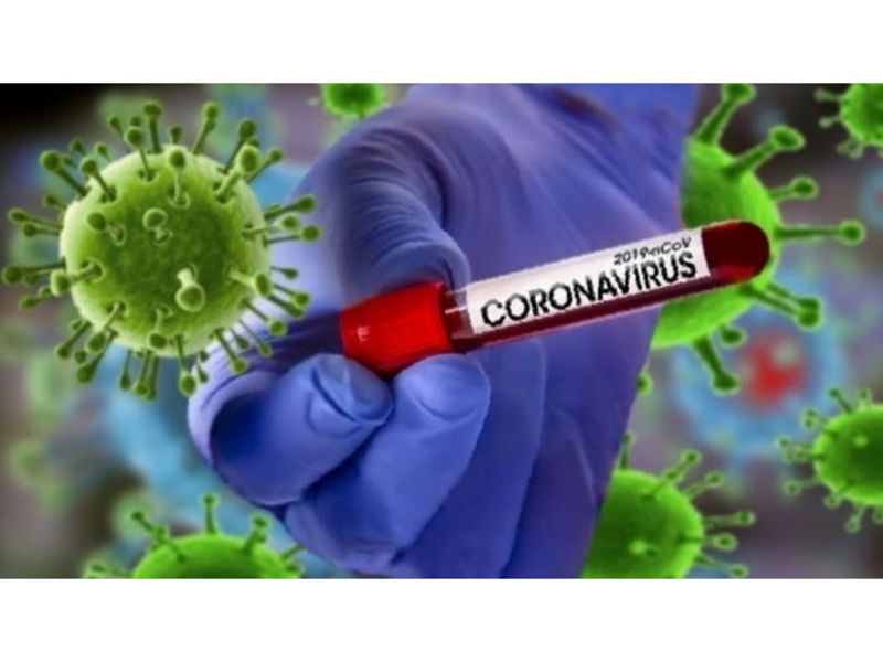 Ученые определили период сохранения антител у переболевших коронавирусом