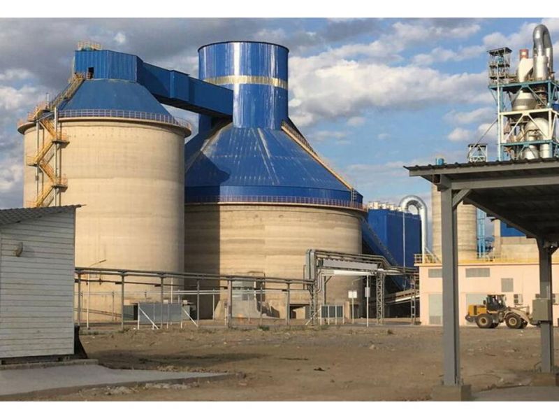 1,2 млн тонн цемента в год будут производить в Жетысу