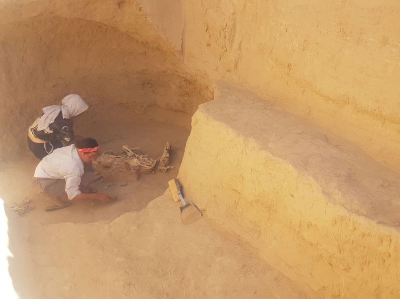 Уникальное погребение сарматского воина нашли казахстанские археологи