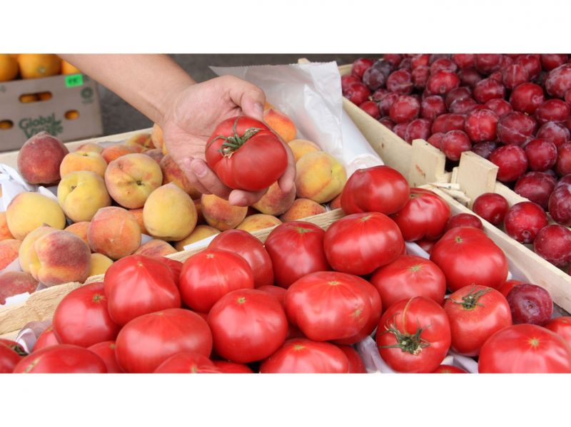 Проверим овощи и фрукты на «химию» без СЭС