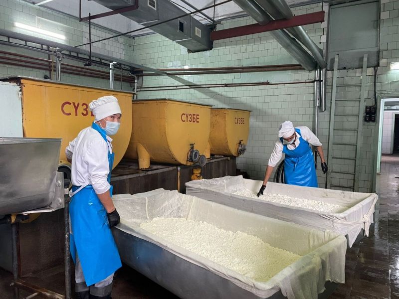 ТОО «Уштобе-Айдын» производит 12 тонн молочной продукции в сутки