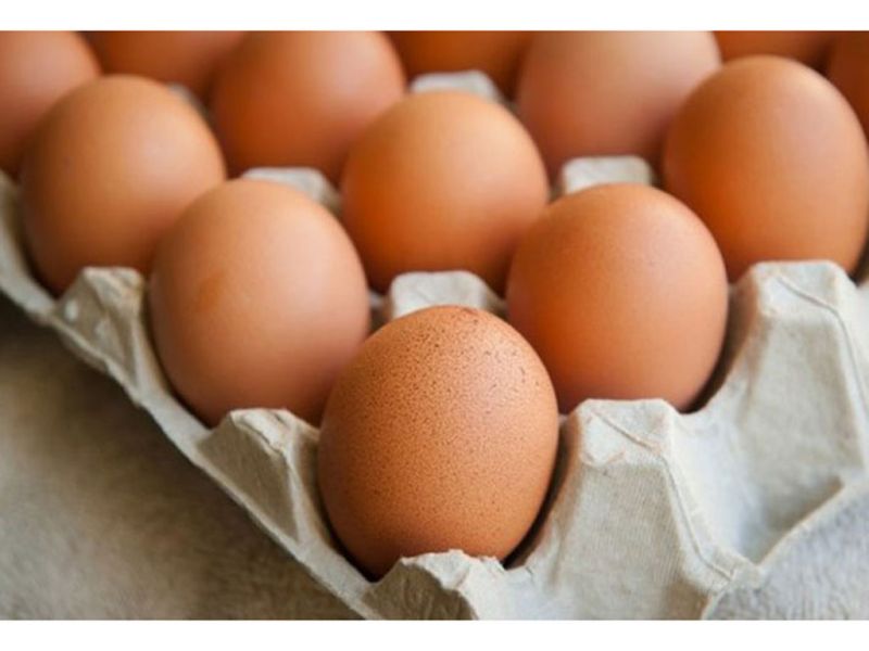 Две птицефабрики Алматинской области снизили цены на яйца после уведомления антимонопольного департамента