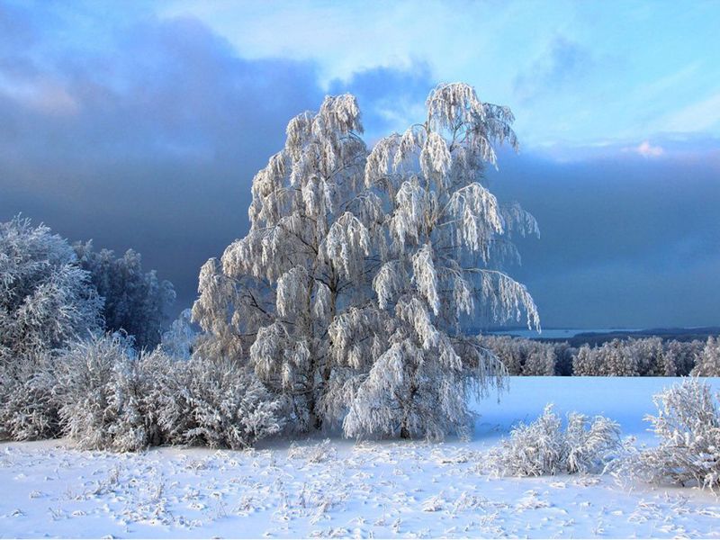 Прогноз погоды по Казахстану на декабрь 2021 года