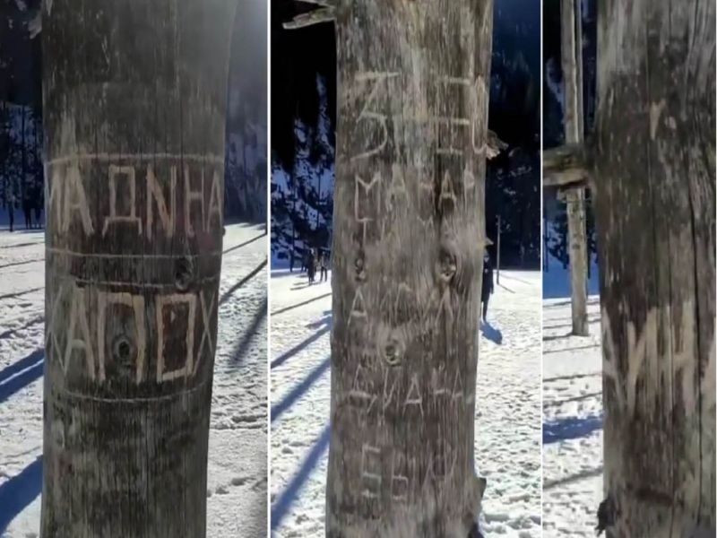 Туристы изрезали надписями реликтовые ели на озере Каинды