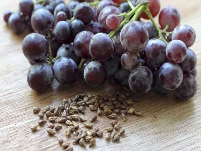 Приговор для тех, кто ест виноградные косточки