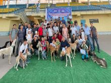 Соревнования собак породы тазы в Талгарском районе