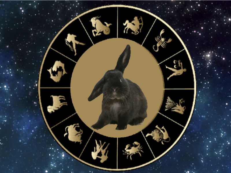 Гороскоп на 2023 год: краткий прогноз астролога
