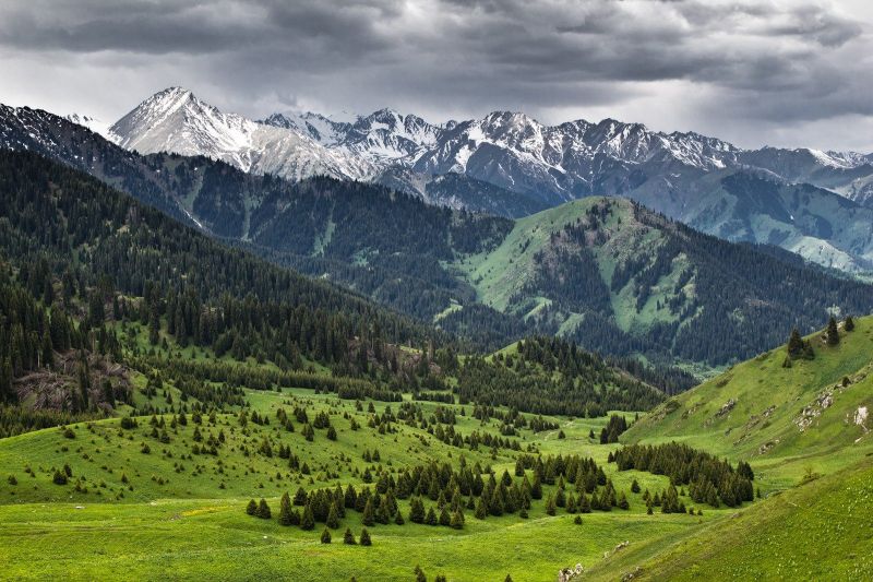 В Алматинской области отменено 65 незаконных решений в отношении пастбищных земель
