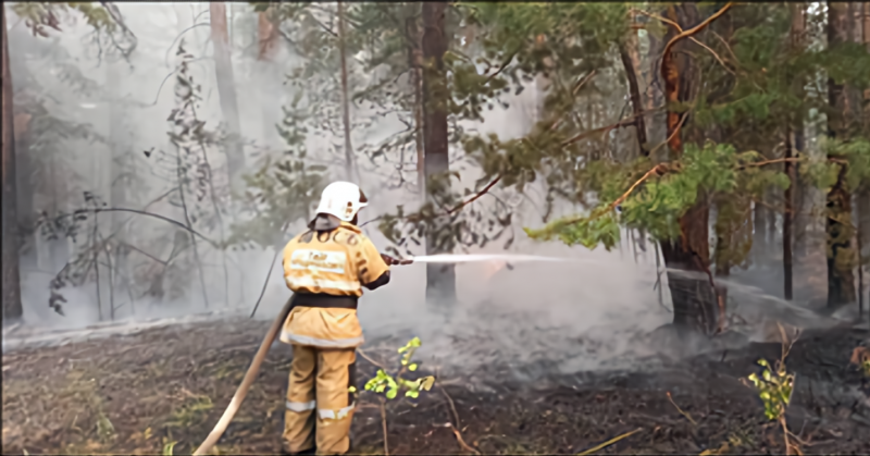 Воду на пожар в Абайской области сбросили 164 раза с шести часов утра