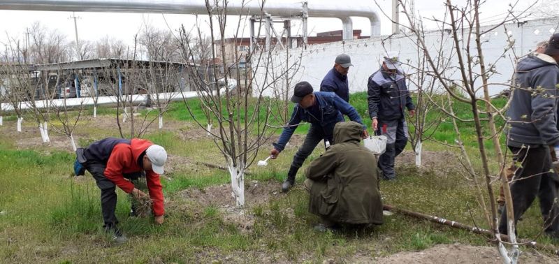 В городе Қонаев более 800 объектов бизнеса приняли участие в экоакции