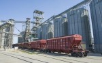 Экспорт зерна нового урожая достиг 7,6 млн тонн: рост на 58%
