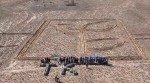 Ұйғыр ауданында “Таза Қазақстан” тұжырымдамасы аясында 1,2 тонна ағаш тұқымы егілді