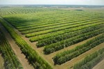 Часто задаваемые вопросы касательно получения земельных участков недропользования