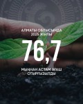 Алматы облысында 2025 жылы 76 703 түп ағаш отырғызылды!