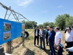 Ростки решений  созревают в диалоге
