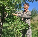 Физика плодородия в действии