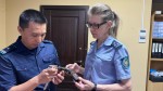 Интуиция в союзе с логикой