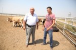 Разные грани сельского бизнеса