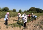 Наука под сенью яблонь