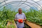 Ауыл аманаты: В Алматинской области предприниматель обеспечивает весь аул свежими овощами
