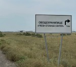 Местные овощи – круглый год