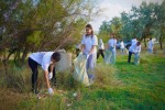 Чистый четверг: с побережья Капшагая за один день вывезли более 2 тонн мусора