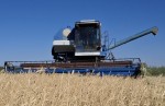 Жатва набирает обороты