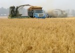Ауыл шаруашылығы санағының онлайн кезеңінің аяқталуына санаулы күн қалды