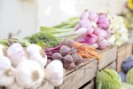 Экспорт агропродукции вырос более чем в 1,5 раза