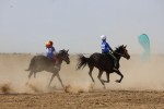 Праздник спорта, дружбы и здорового образа жизни
