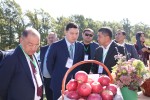 Сады будущего