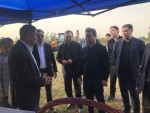 Возродить былую славу апорта