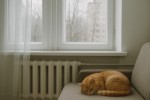 В Алматинской области стартовал отопительный сезон